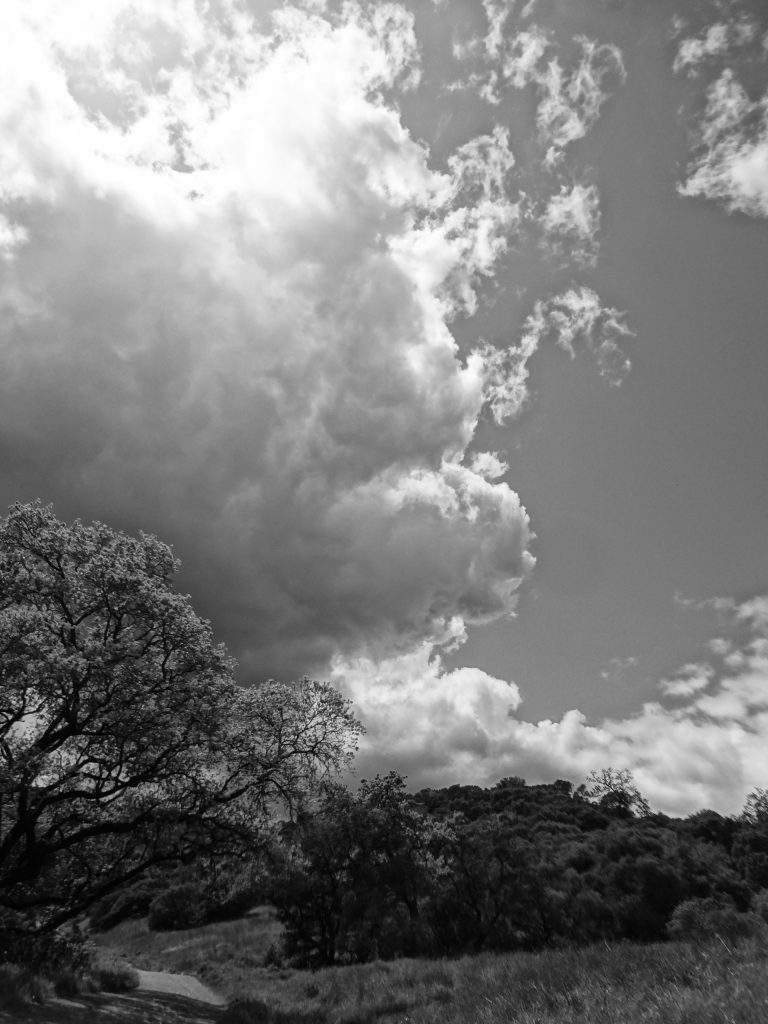 Santa Teresa County Park