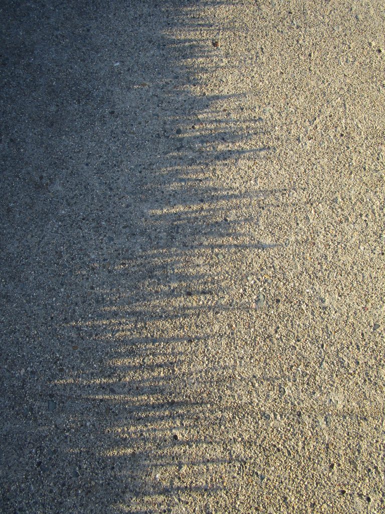 Grass shadow
