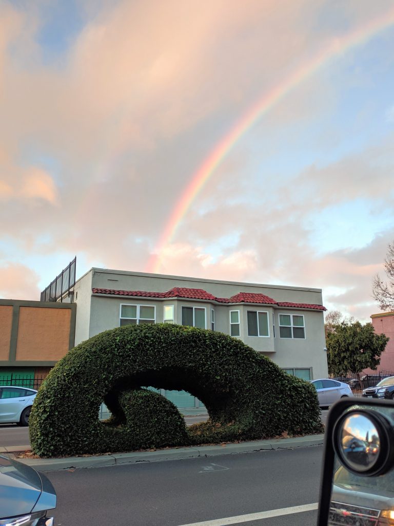 Rainbow and topiary