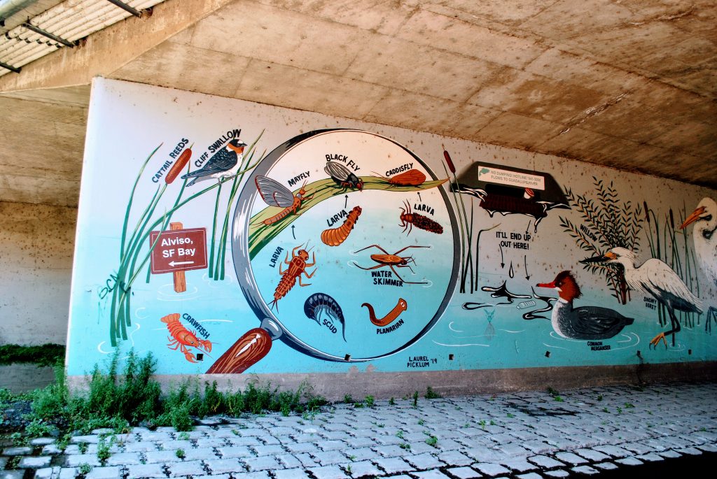 Guadalupe River Park Conservancy Mural