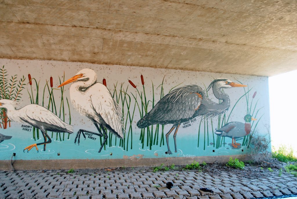 Guadalupe River Park Conservancy Mural