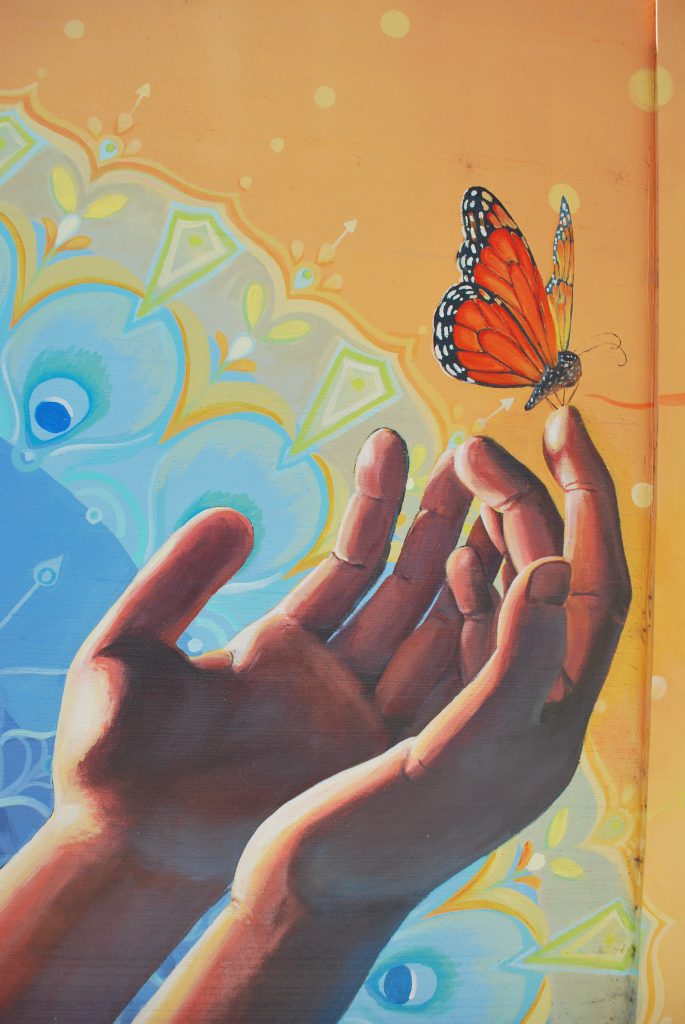 El Sueño de la Mariposa (The Dream of the Butterfly)