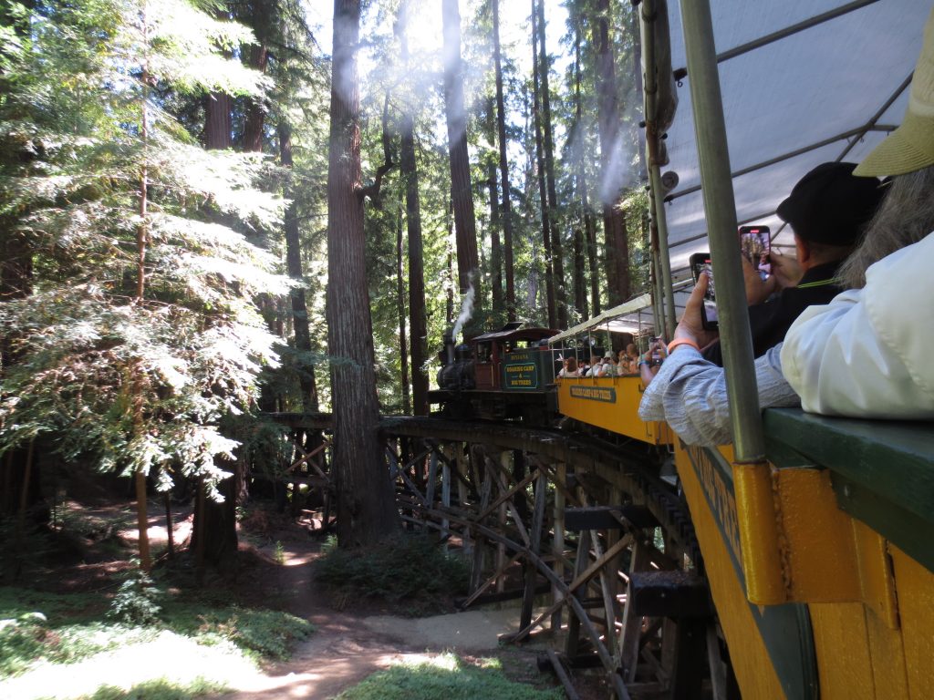 Roaring Camp