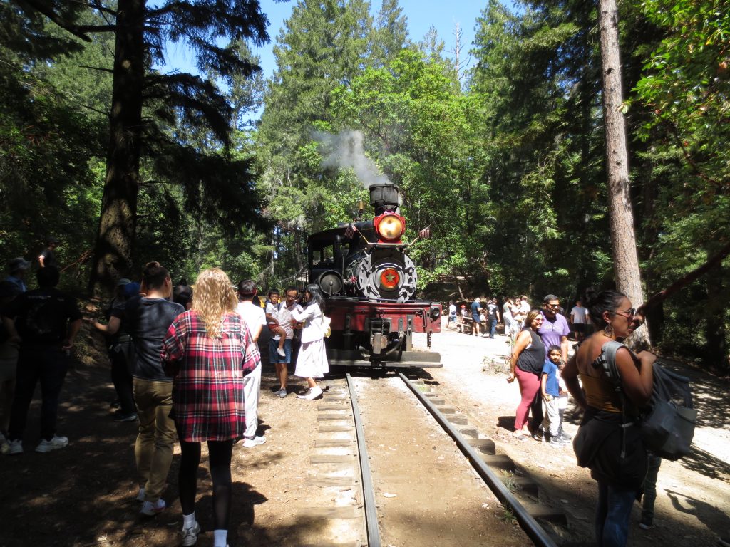 Roaring Camp