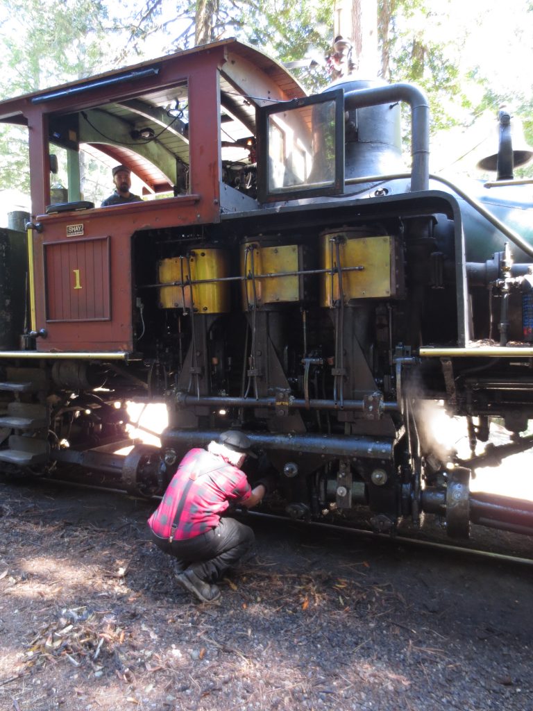 Roaring Camp