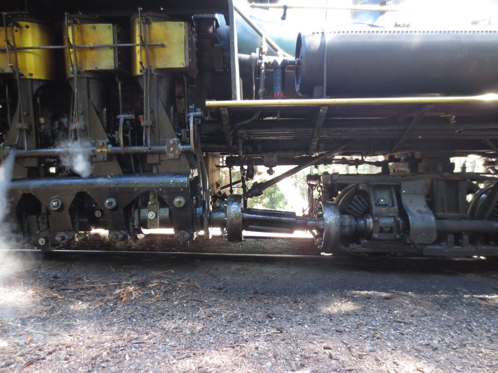 Roaring Camp