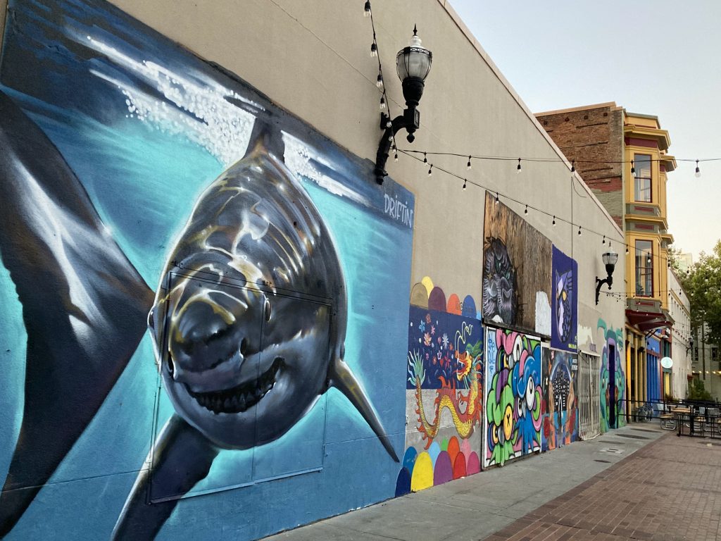 Fountain Alley Murals